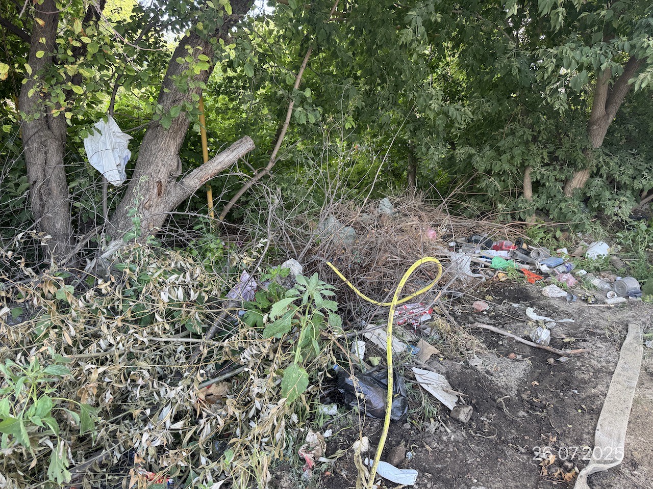 Альтернативный текст