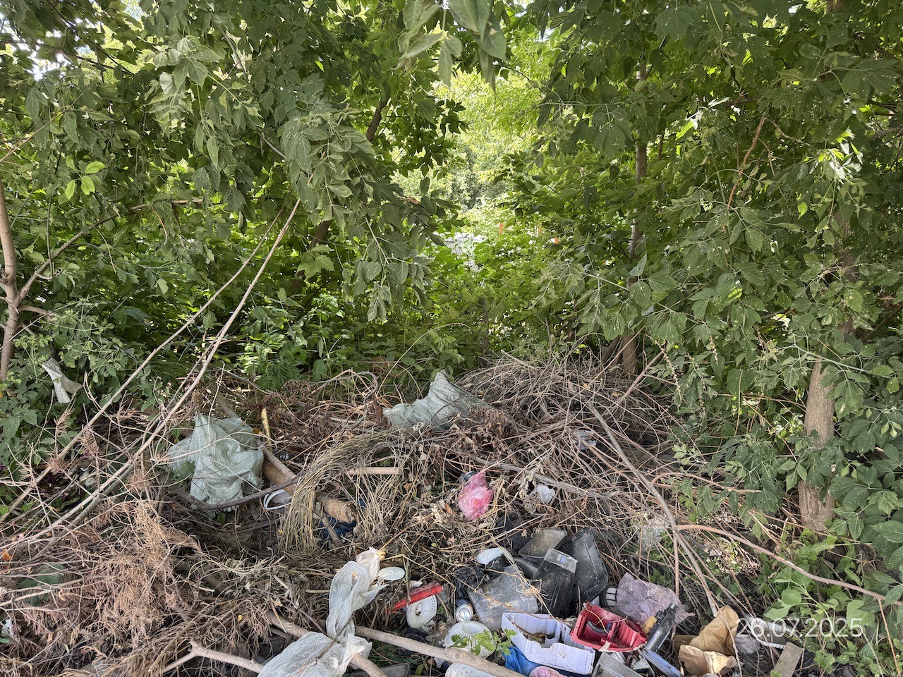 Альтернативный текст