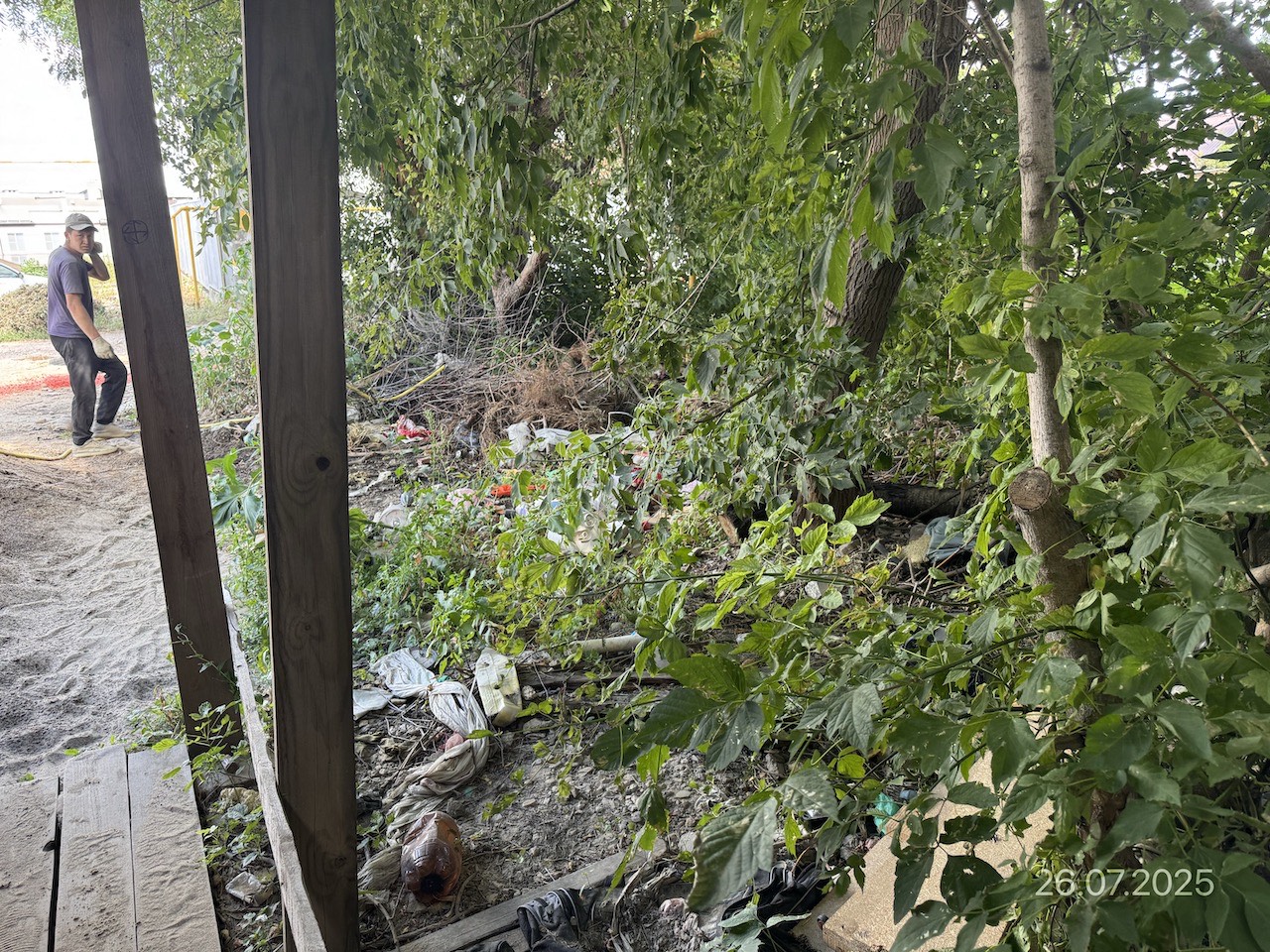 Альтернативный текст