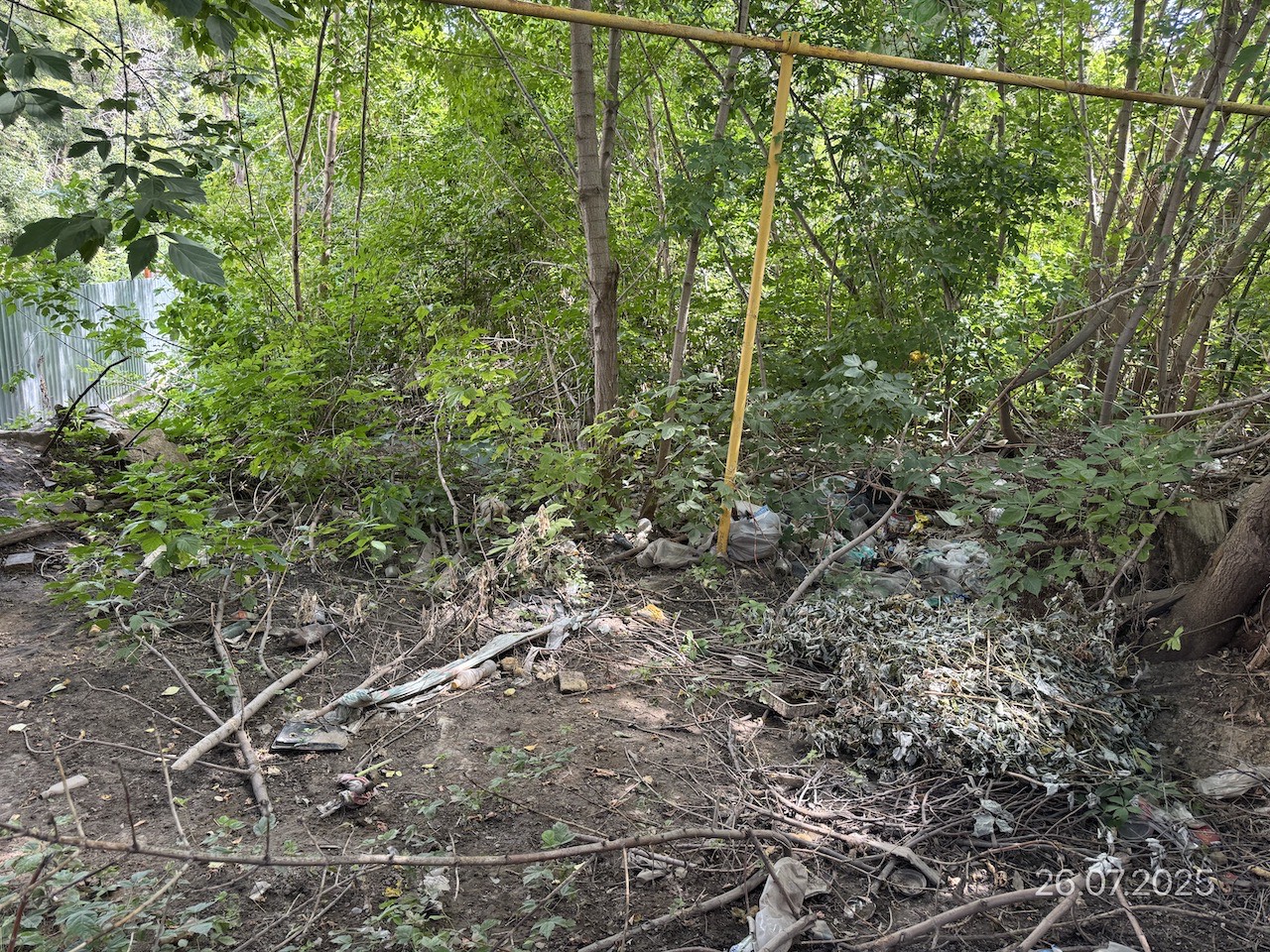 Альтернативный текст