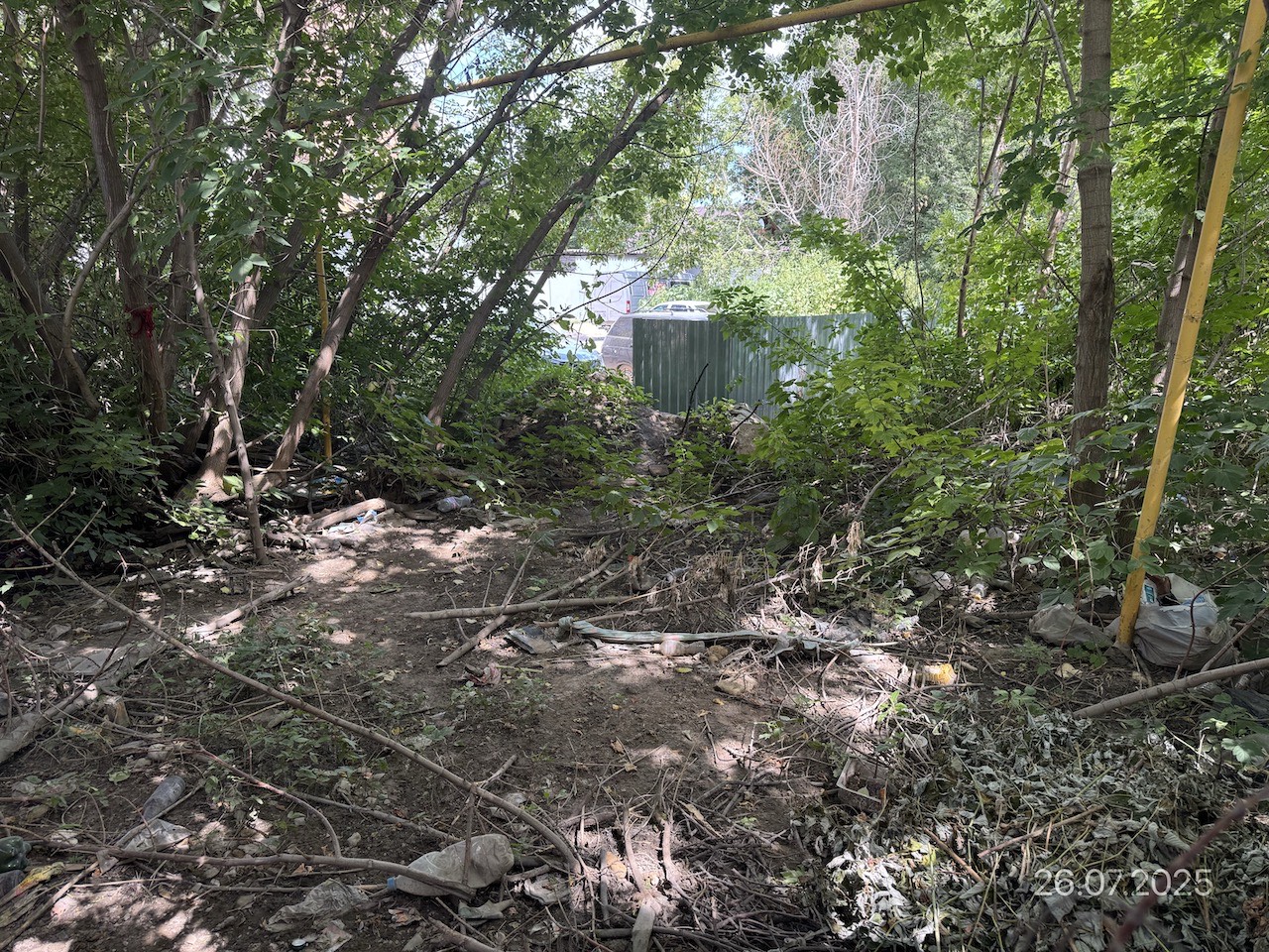 Альтернативный текст